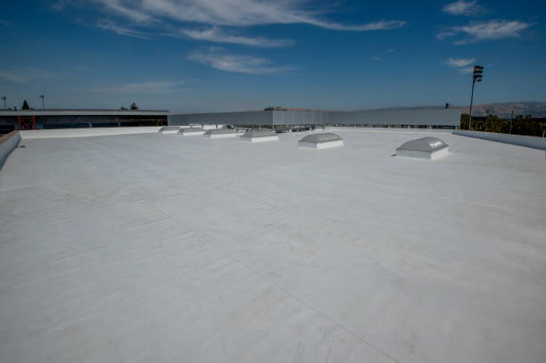Best Roof Ventilation Installation  in Mount Clemens, MI